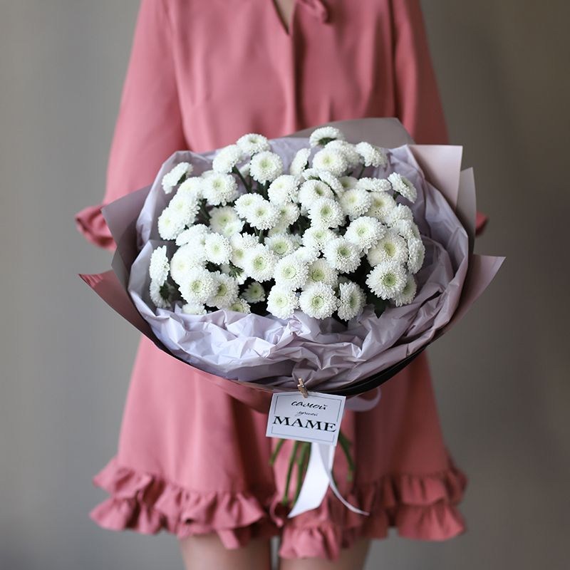 Хризантема Кишинев